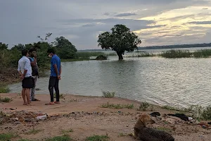 Perumal Lake image