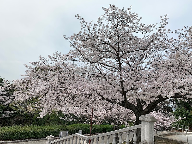 のびのび広場