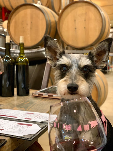 Winery «CALAIS Winery», reviews and photos, 8115 US-290, Hye, TX 78635, USA