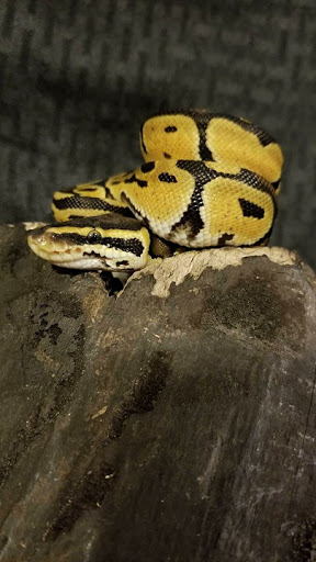 Pet Store «Tanks Pet Supply», reviews and photos, 628 S Main St, Princeton, IL 61356, USA