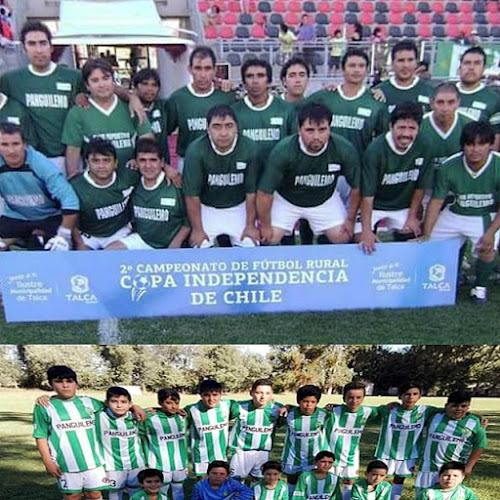 Cancha Club Deportivo Panguilemo - Campo de fútbol
