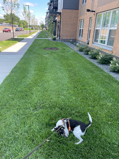 Shopping Mall «Signal Hills Shopping Center», reviews and photos, 1225 S Robert St, West St Paul, MN 55118, USA