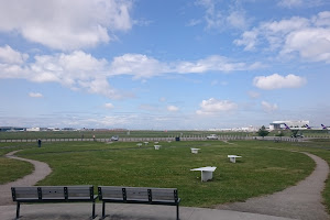 Larry Berg Flight Path Park