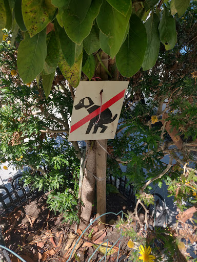 Coffee Shop «Sightglass Coffee», reviews and photos, 3014 20th St, San Francisco, CA 94110, USA