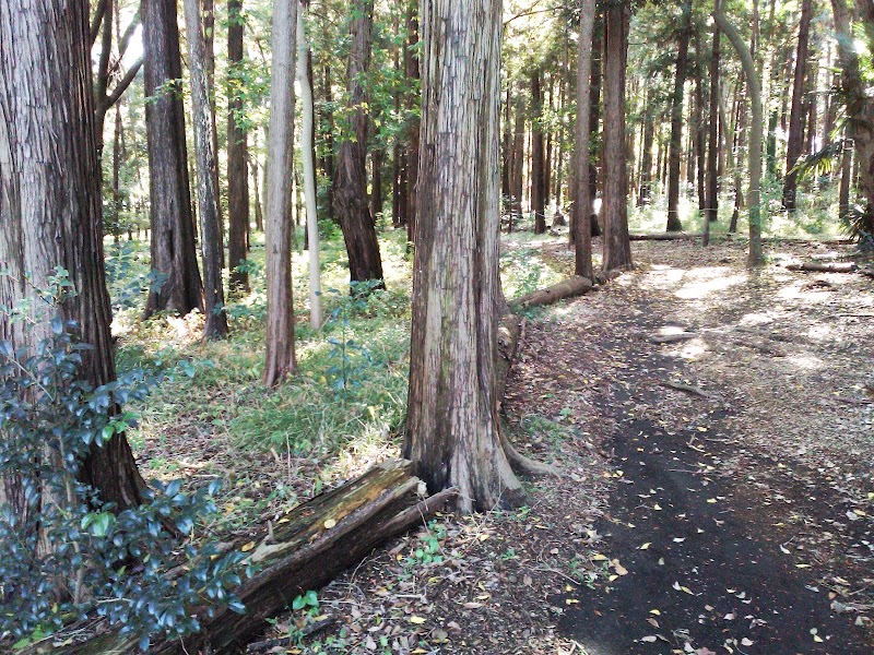 長峰自然の森