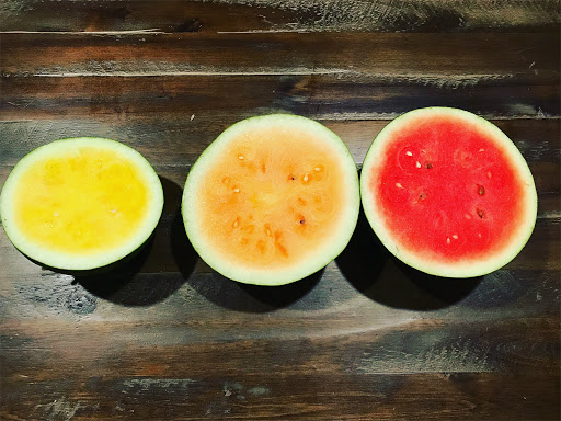 Florist «Sabellico Greenhouses & Florist», reviews and photos, 33 Hillside Lake Rd, Hopewell Junction, NY 12533, USA