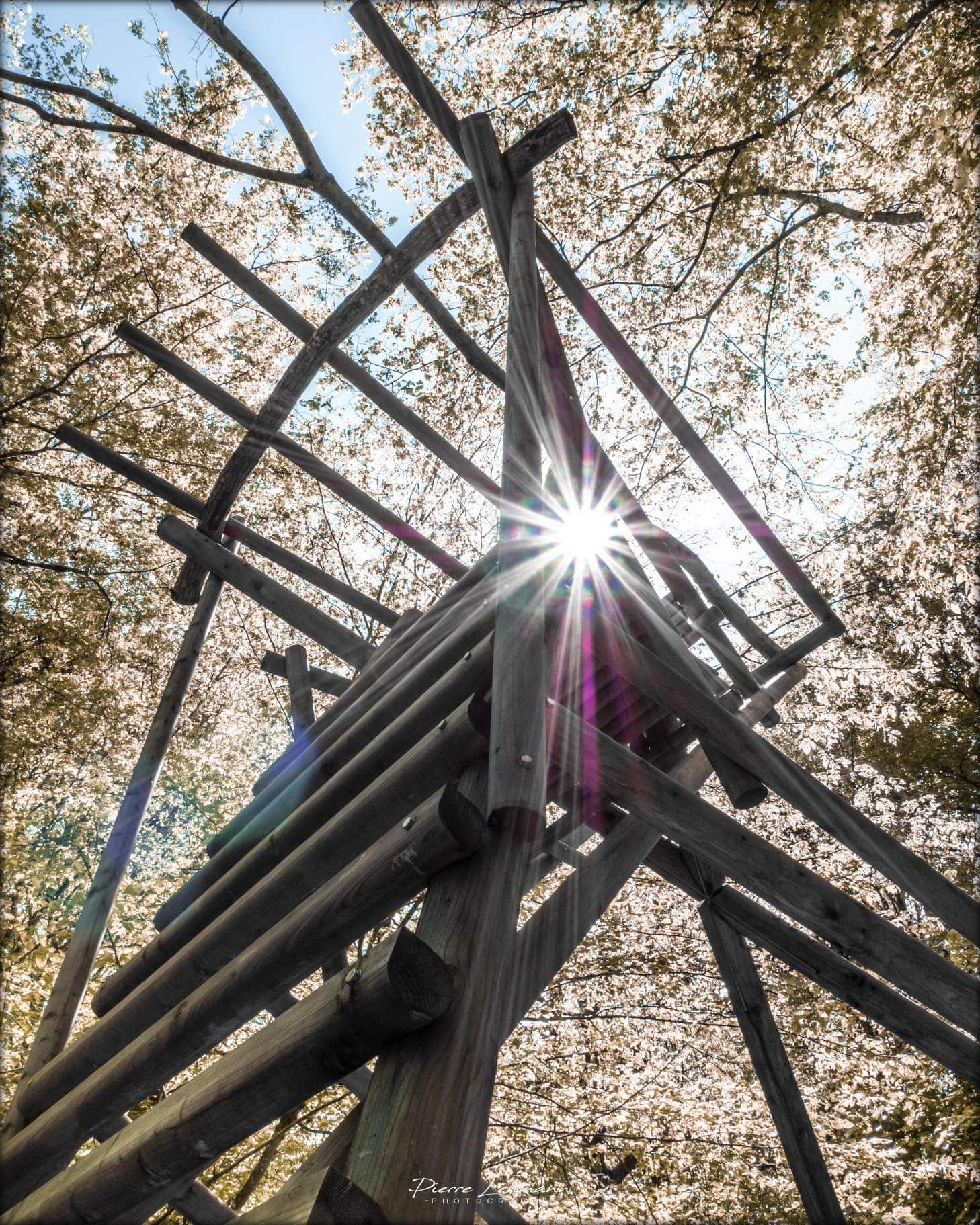 Photo n° 16 de l'avis de Pierre.e fait le 30/05/2019 à 14:15