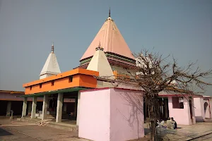 Bhaluni Dham image