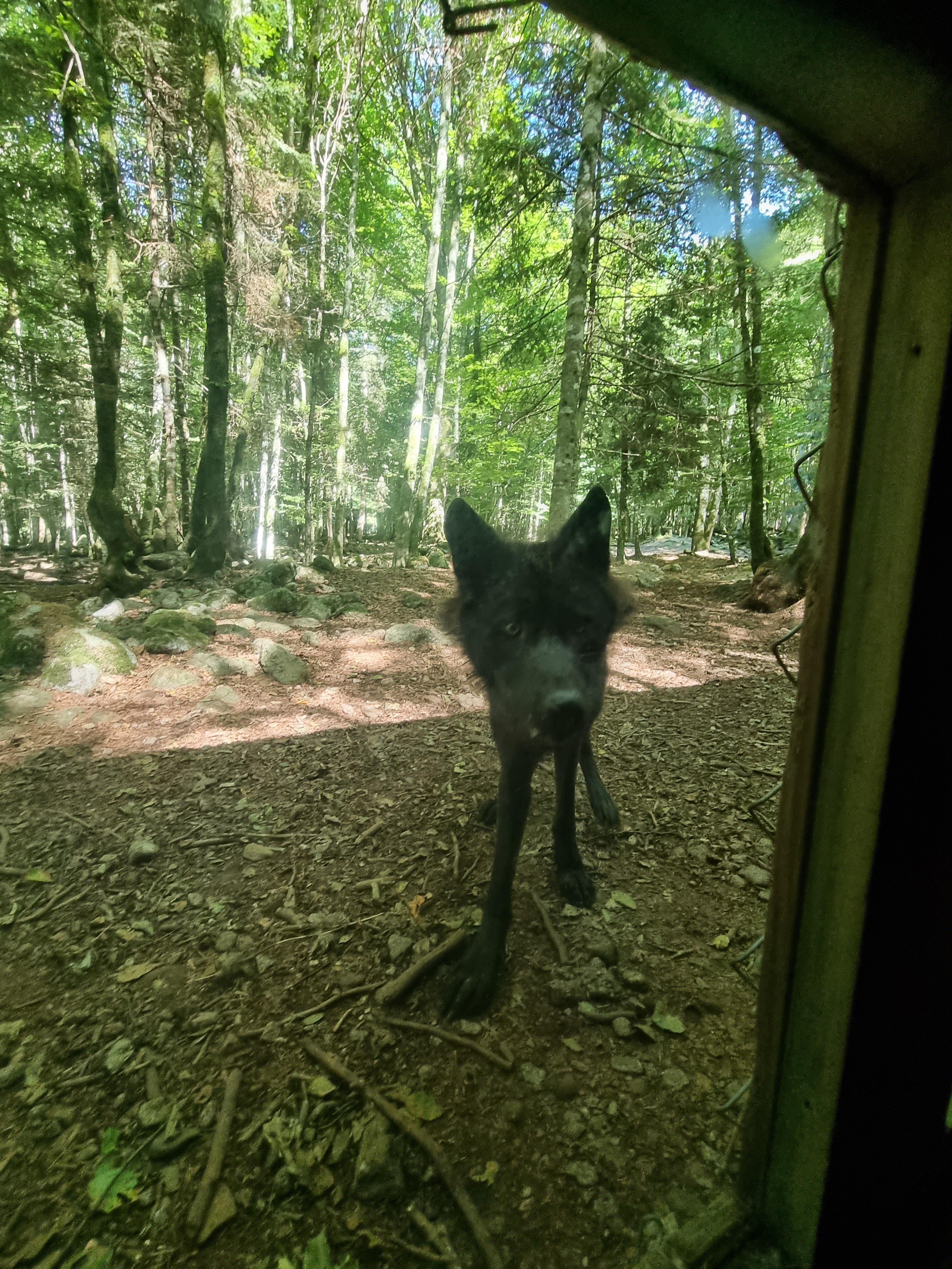 Photo n° 9 de l'avis de p.d fait le 14/07/2023 à 17:06