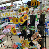 Demers Garden Center Inc. - Photo 7 - Car repair in Manchester, NH, Manchester