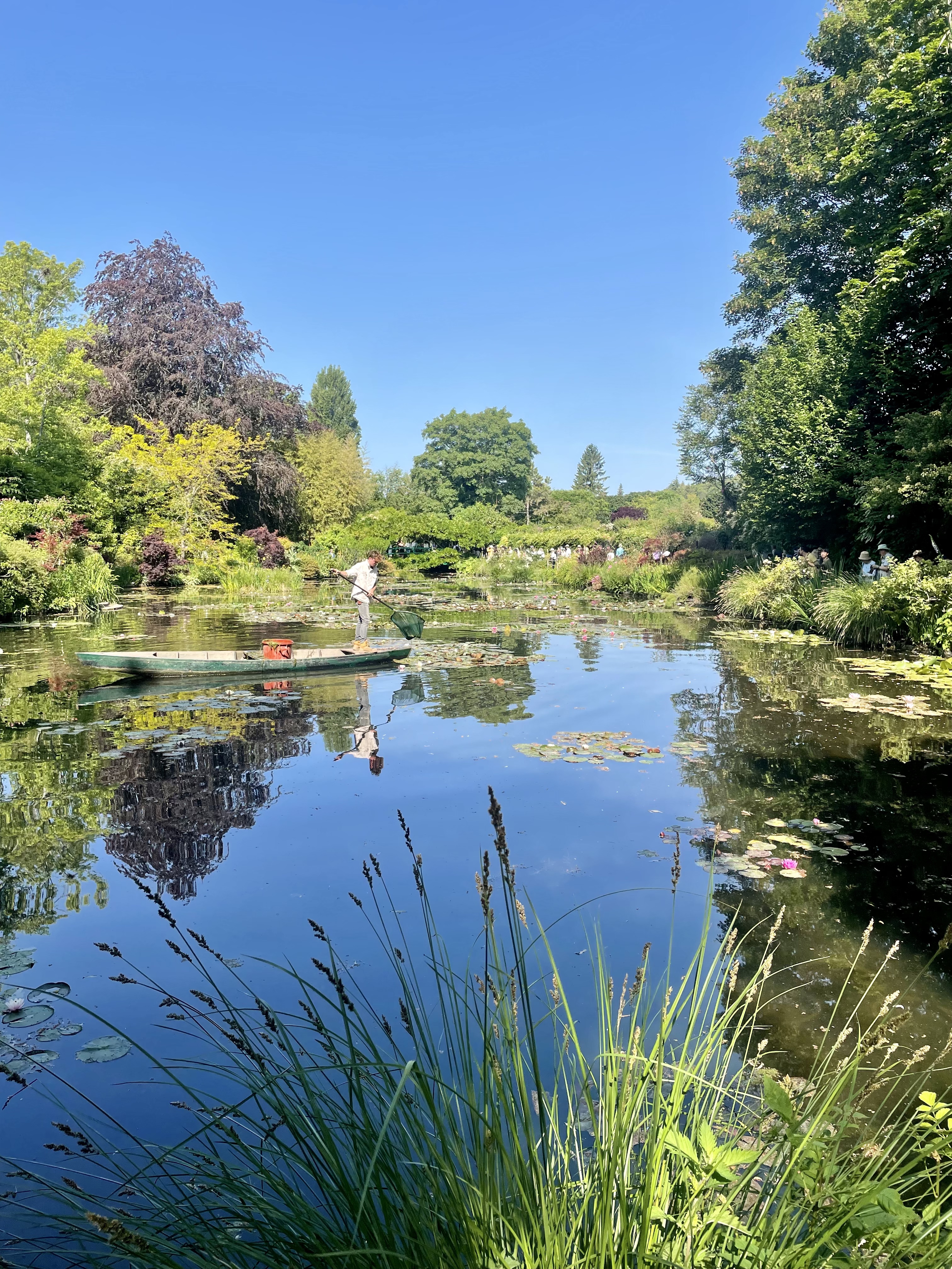 Photo n° 1 de l'avis de Celine.u fait le 08/06/2023 à 15:41