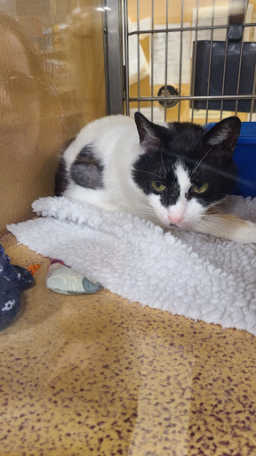 Pet Supply Store «PetSmart», reviews and photos, 600-800 Hatton Dr, Glen Mills, PA 19342, USA