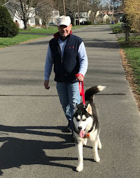 Dog Walking - Photo 1 - Car repair in , Hartford