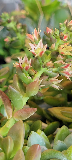 Home Improvement Store «The Home Depot», reviews and photos, 1510 Ring Rd, Elizabethtown, KY 42701, USA