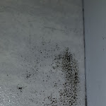 Photo n° 7 de l'avis de anthony.a fait le 04/02/2020 à 08:24 pour Val Touraine Habitat à Amboise