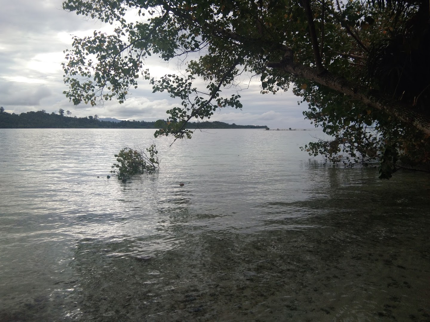 Pulau Bengkalak Photo