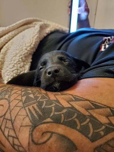 Explore maori tattoo ideas, creative tattoo ideas in Albuquerque, available at Por Vida Tattoo