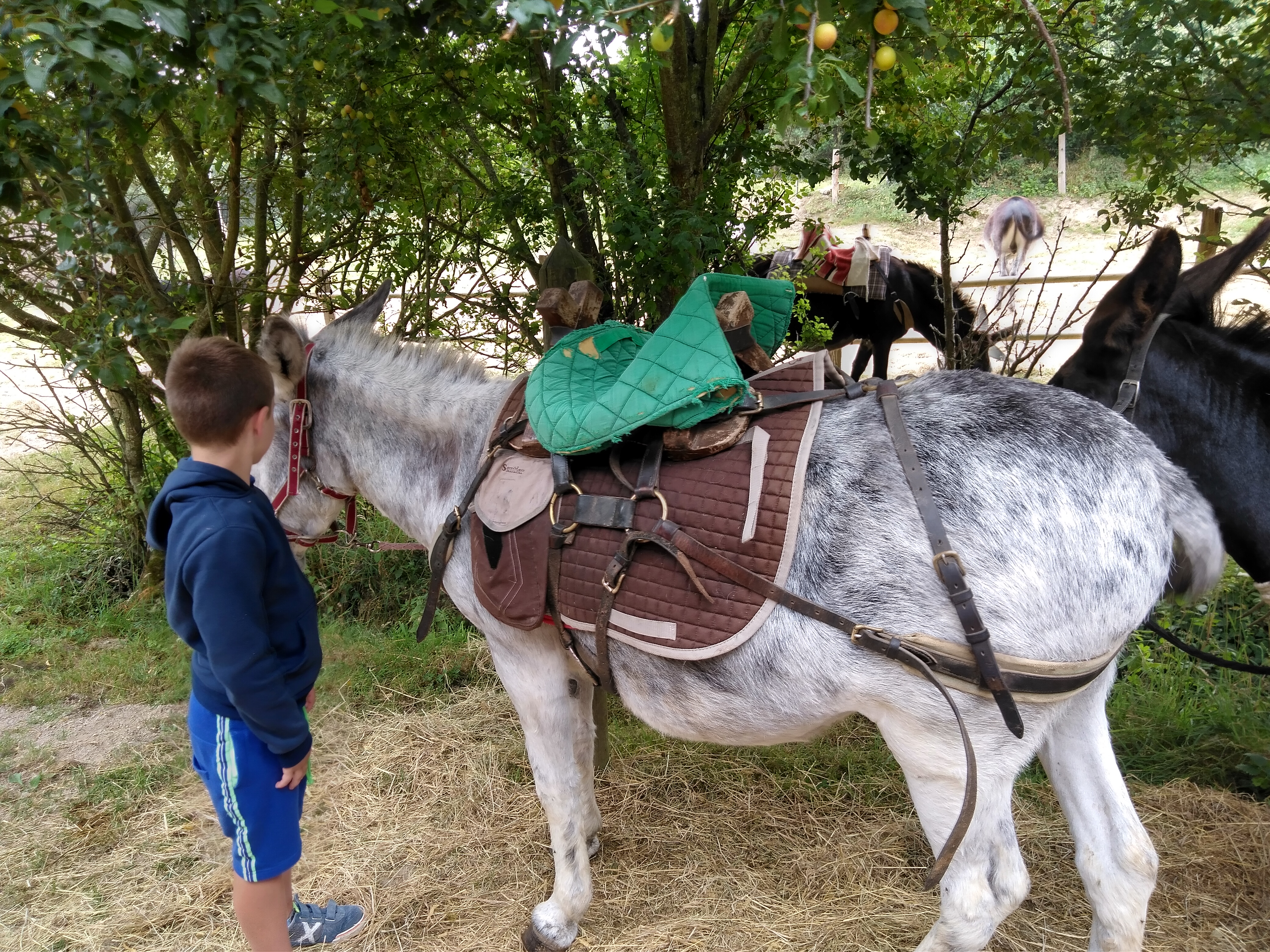 Photo n° 1 de l'avis de Ben.k fait le 14/07/2019 à 10:25