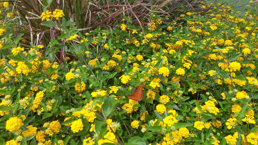 Museum «Southern Museum of Civil War and Locomotive History», reviews and photos, 2829 Cherokee St NW, Kennesaw, GA 30144, USA