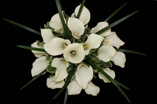 Florist «OK Floral of Forest Grove», reviews and photos, 2015 Pacific Ave, Forest Grove, OR 97116, USA