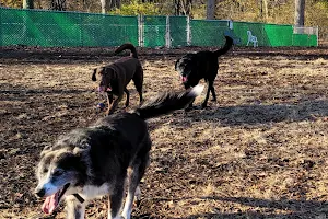 Carlisle Area Dog Parks (Members only) image