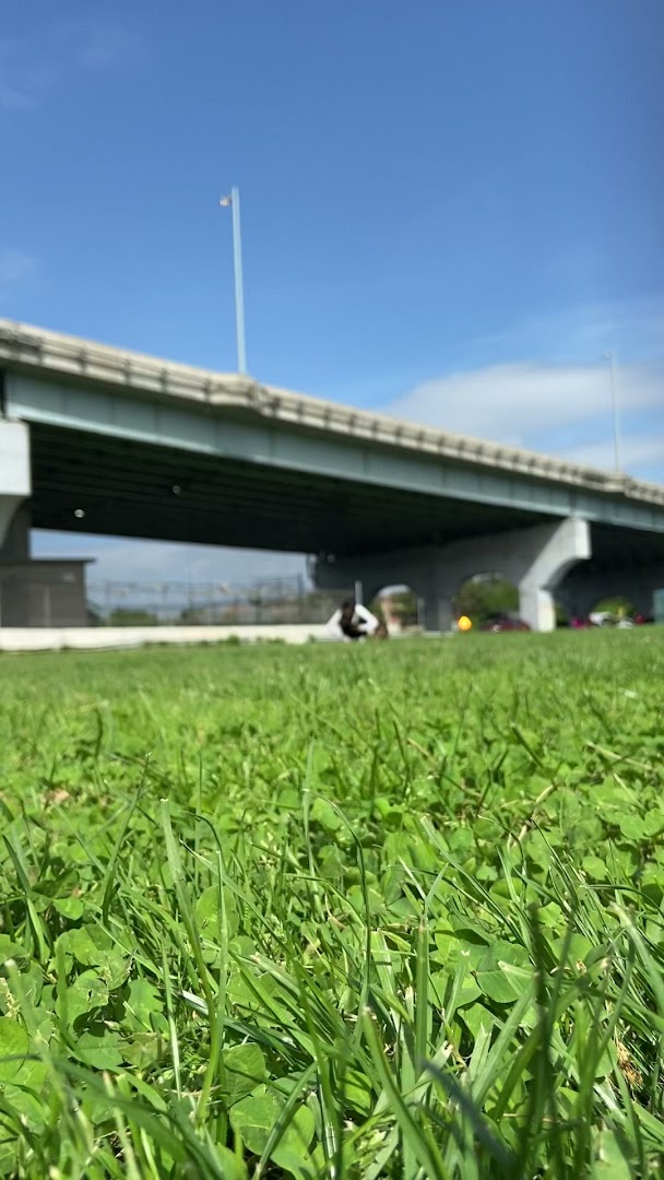 Throgs Neck Dog Park