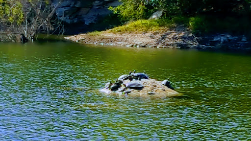 Park «Tom Slick Park / Dog Park», reviews and photos, 7400 Texas 151 Access Rd, San Antonio, TX 78227, USA