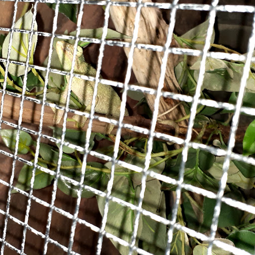 Aquarium «Aquarium of Boise», reviews and photos, 64 N Cole Rd, Boise, ID 83704, USA