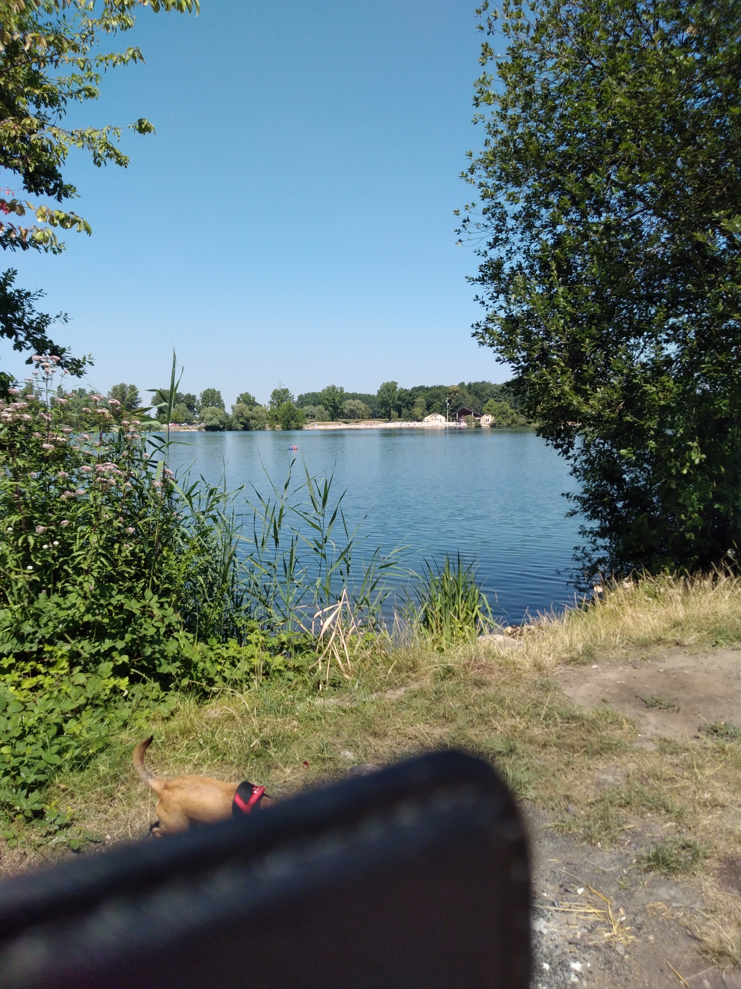 Photo n° 2 de l'avis de Claude.t fait le 15/07/2018 à 12:10
