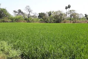 Sanjeevi Nagar Park image