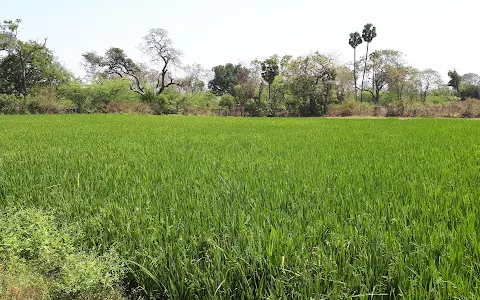 Sanjeevi Nagar Park image