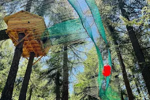 Games in Forest | Parc attraction Montgenevre image