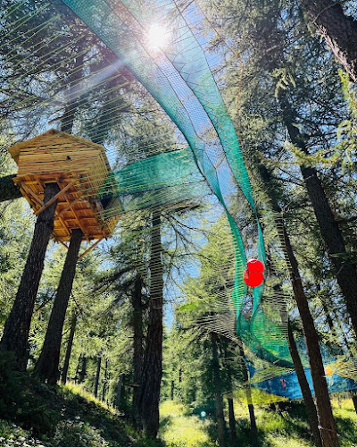 Games in Forest | Parc attraction Montgenevre à Montgenèvre