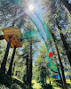 Games in Forest | Parc attraction Montgenevre Montgenèvre