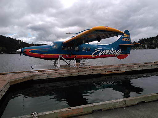 Museum «The Whale Museum», reviews and photos, 62 1st St, Friday Harbor, WA 98250, USA