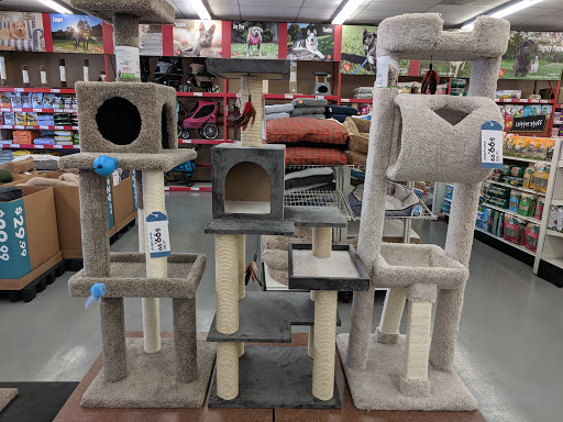 Pet Supply Store «Pet Food Express», reviews and photos, 372 Woodside Rd, Redwood City, CA 94061, USA