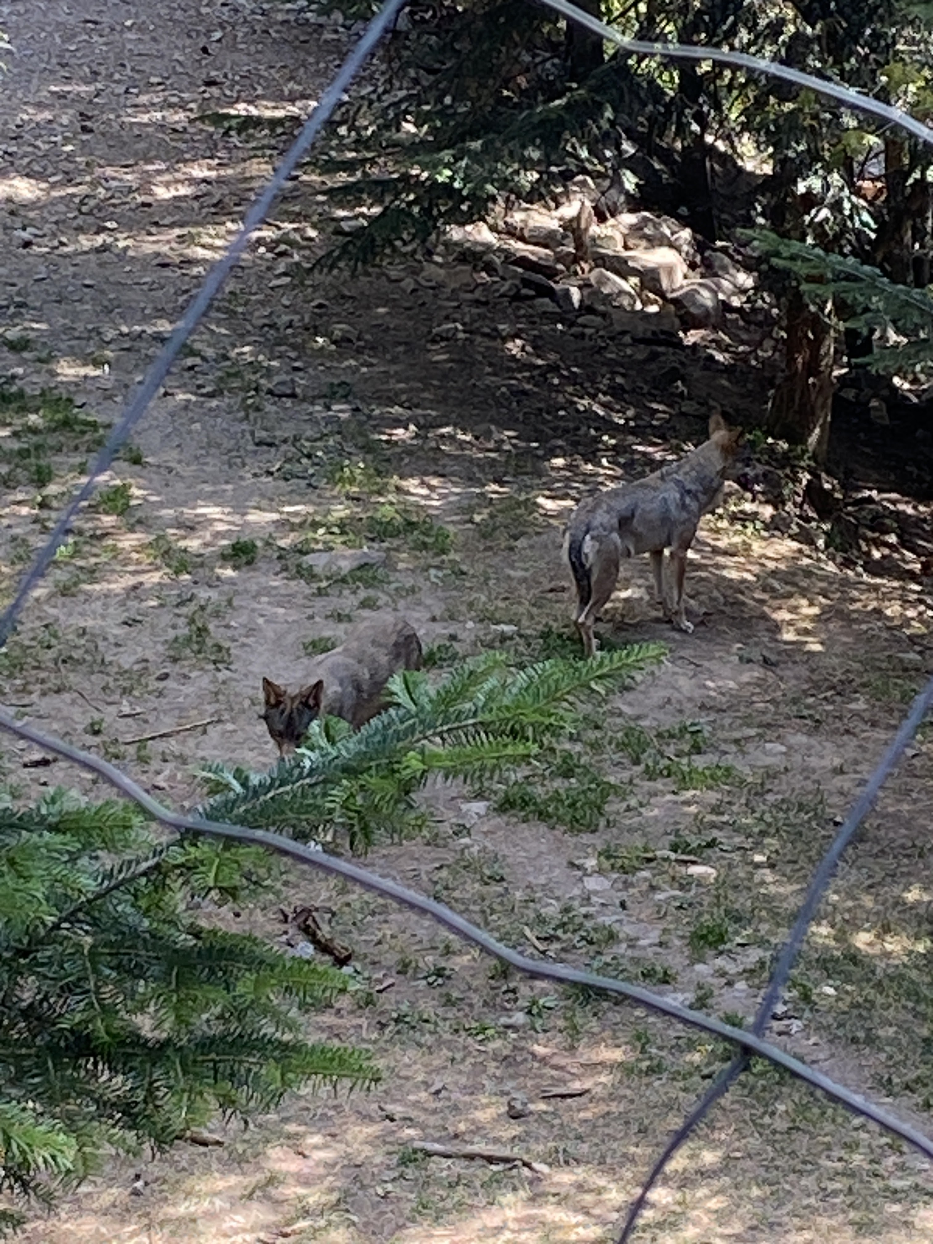 Photo n° 2 de l'avis de Chantal.i fait le 09/09/2023 à 20:49