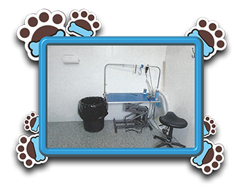 Pet Store «AA Ridgewood Kennels II», reviews and photos, 5401 Lincoln Hwy, Gap, PA 17527, USA