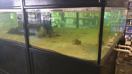 Pet Store «Something Fishy Pets», reviews and photos, 29 Towne Centre Ln, Fox Lake, IL 60020, USA
