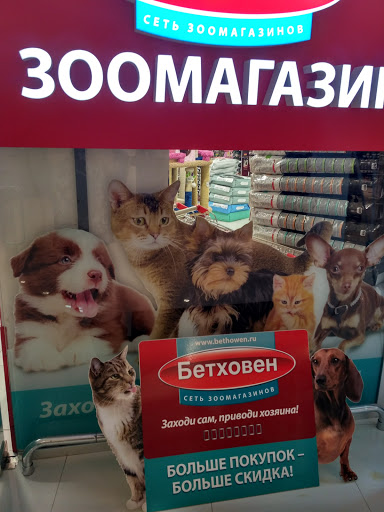 Beethoven pet shop