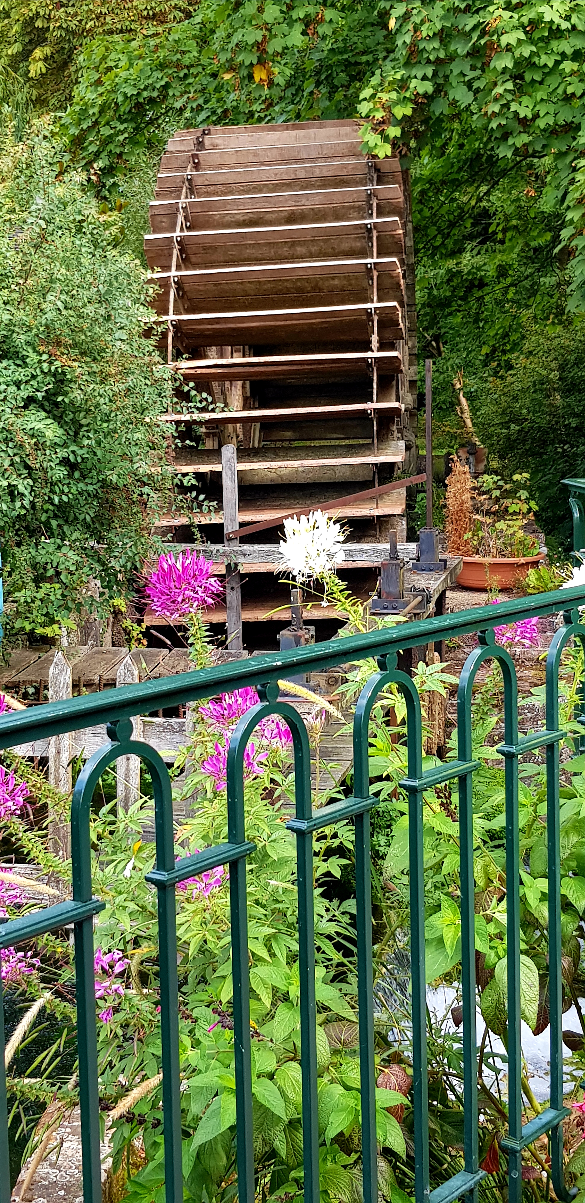 Photo n° 6 de l'avis de NATHALIE.A fait le 12/09/2019 à 13:15