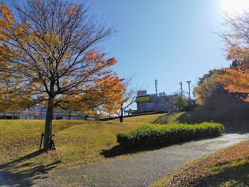 新海池公園野球場専用駐車場