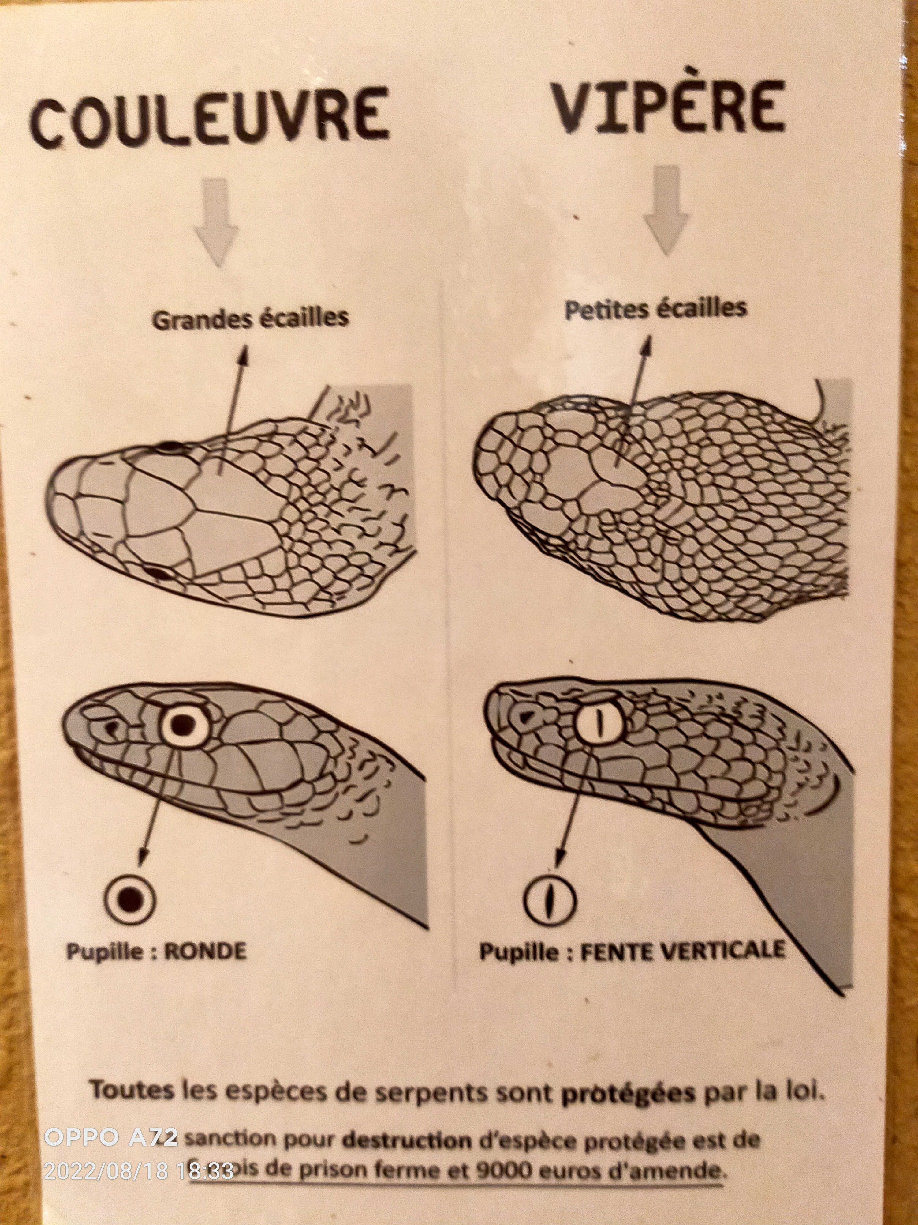 Photo n° 9 de l'avis de Laëtitia.o fait le 19/08/2022 à 08:13