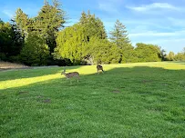 Oakes College - Car repair in Santa Cruz, CA, Santa Cruz - Rated 4.4/5