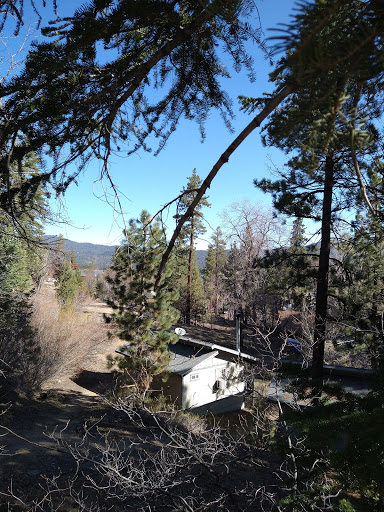 Pine Knot Guest Ranch image