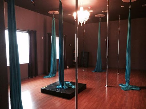 Dance School «Tease Dance & Fitness», reviews and photos, 4222 Meridian Pkwy, Aurora, IL 60504, USA