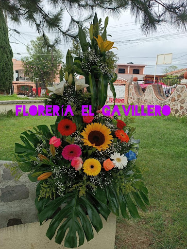 Floreria El Gavillero – Ciudad Nicolás Romero