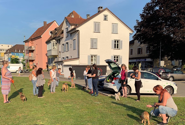 Rezensionen über Tiertafel-Kreuzlingen in Kreuzlingen - Verband