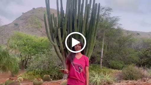 Cell Phone Store «Sun Cellular Inc», reviews and photos, 3329 E Bell Rd #14a, Phoenix, AZ 85032, USA