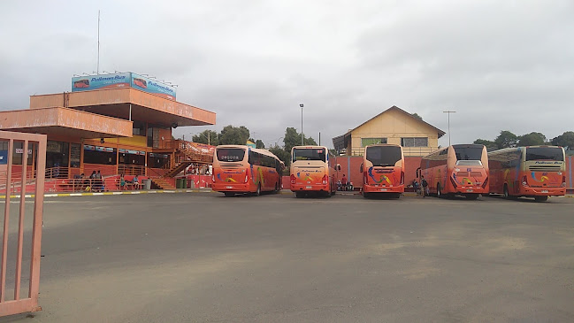 Opiniones de Terminal Pullman Bus. El Quisco en El Quisco - Agencia de viajes